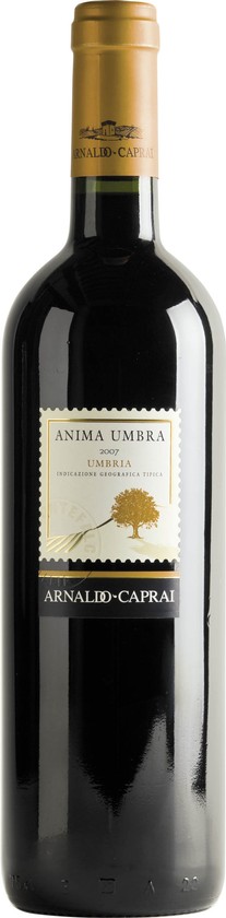 Arnaldo Caprai Anima Umbra Rosso 2007