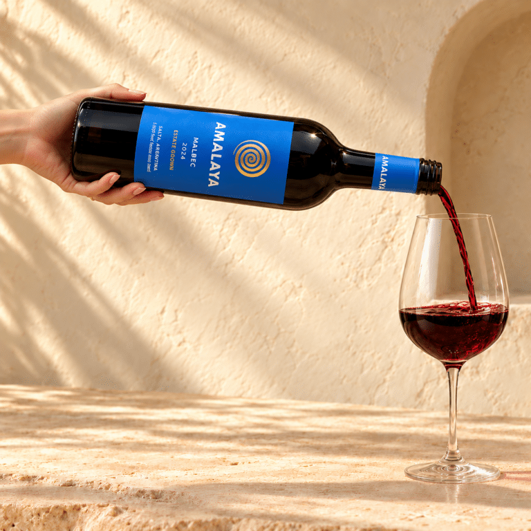 2024 Amalaya Malbec